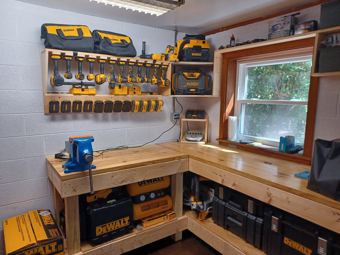 Mixed 18 Pack for DeWalt